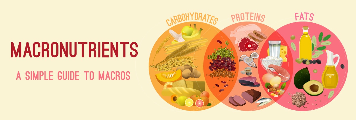 nestle-pou-nou-nutrients-why-they-matter-in-article