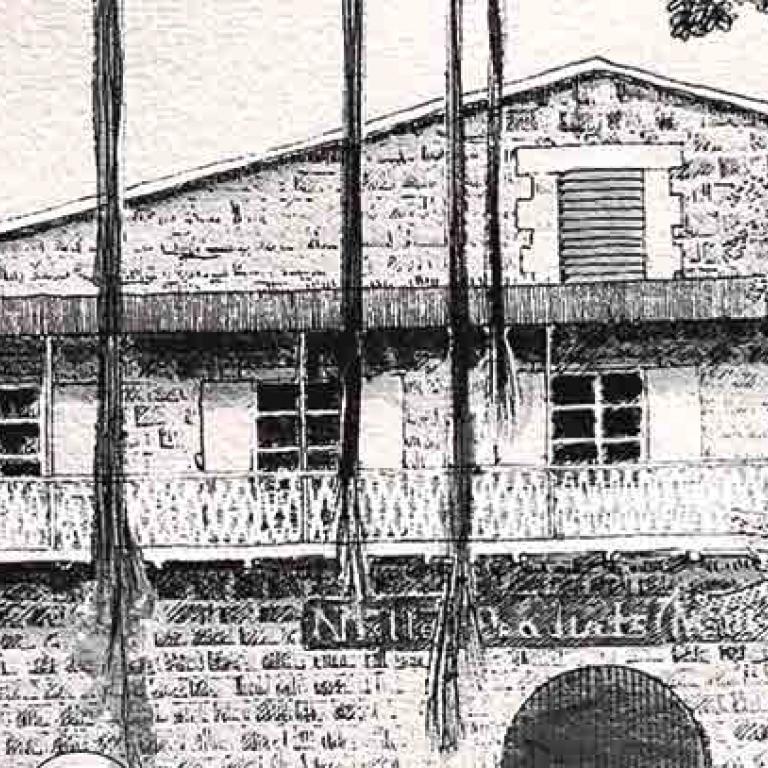 Nestle History & Formation of Products