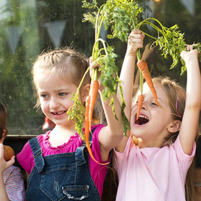 CHILDREN’S NUTRITION FACT SHEET