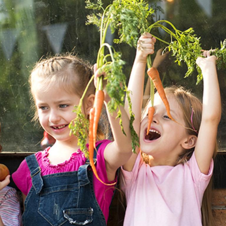 Fait sur la Nutrition des Enfants