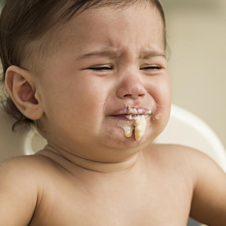 GUIDE FOR FUSSY & PICKY EATERS