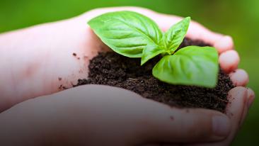 grow_your_own_growing_veggies_with_kids